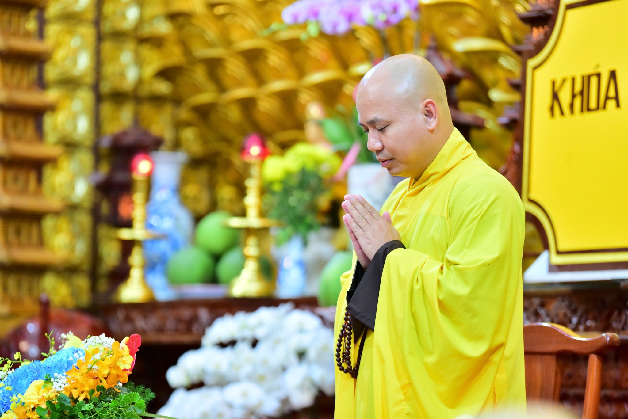 Pháp thoại Khi thương yêu dẫn lối