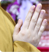 Quy Y Tam Bảo